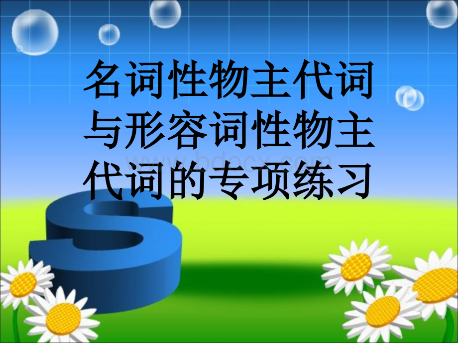 形容词性和名词性物主代词专项练习PPT文件格式下载.ppt