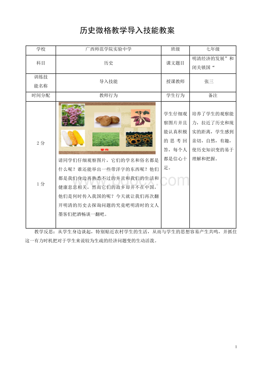 历史微格教学导入技能教案.doc