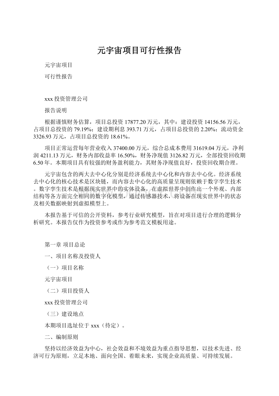 元宇宙项目可行性报告文档格式.docx_第1页