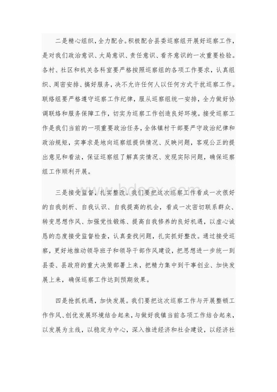 2020年在某镇巡察工作动员会上的表态发言1020字范文稿.docx_第2页