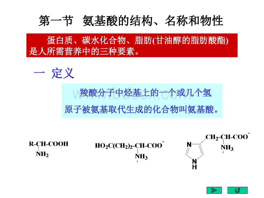 北京大学裴伟伟有机化学讲义Chapter22PPT文档格式.ppt_第3页