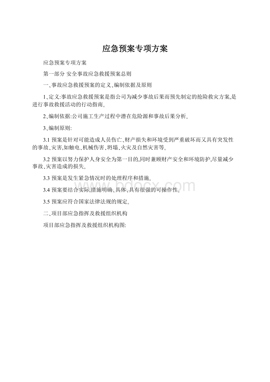 应急预案专项方案.docx