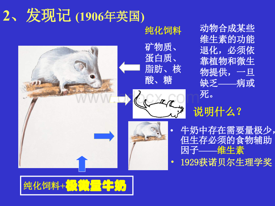 第4章：维生素与辅酶.ppt_第3页