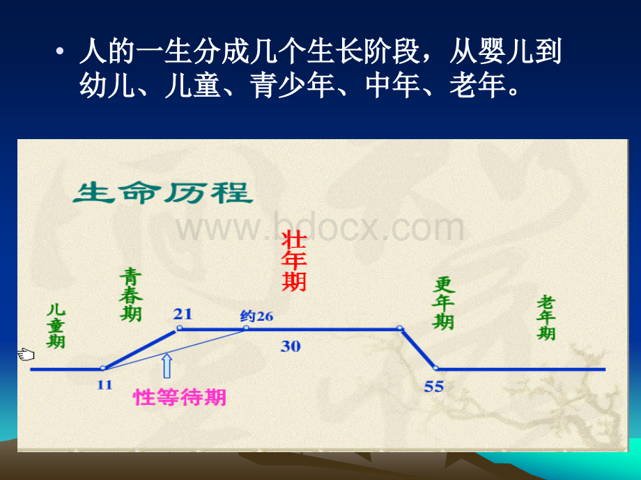 讲座青春期的生理和心理健康(PPT).ppt_第2页