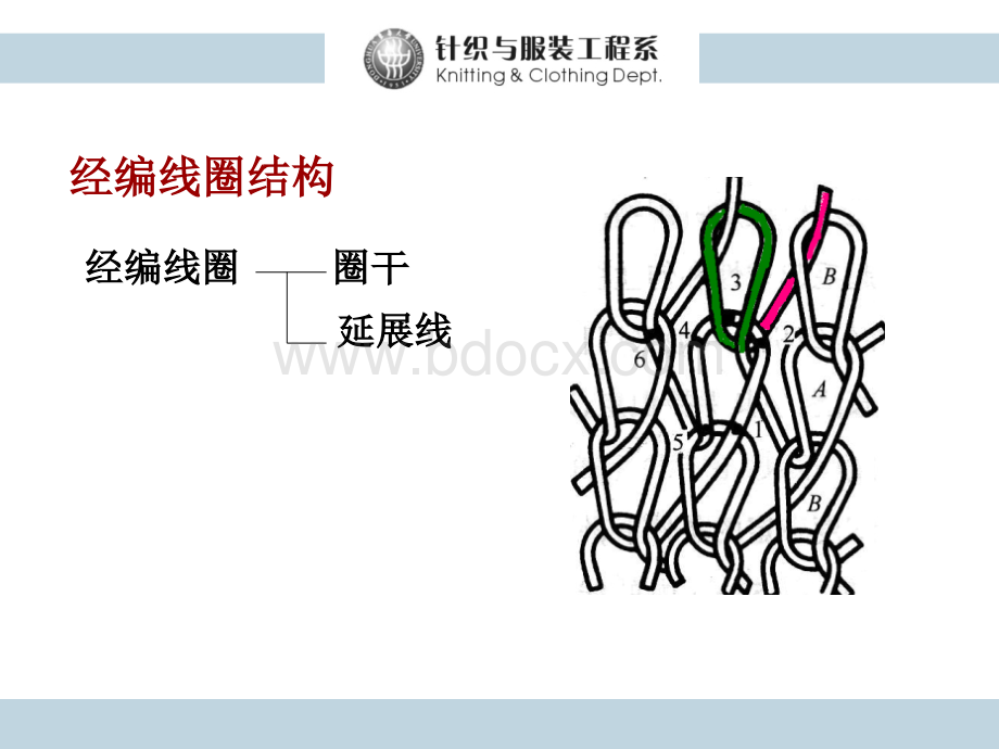 针织学经编完整版课件.ppt_第3页