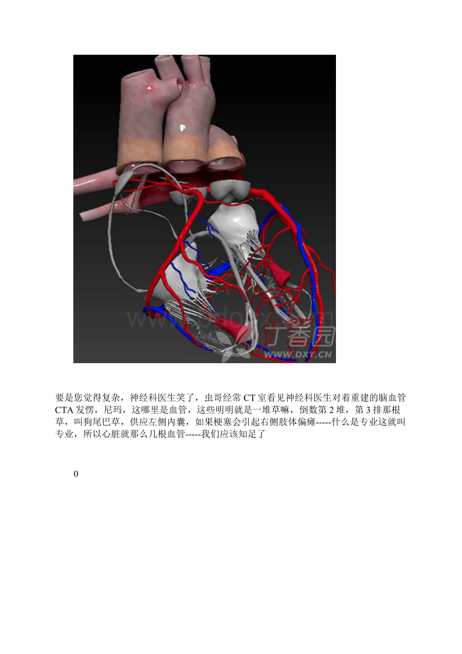 心脏血管图片.docx_第2页