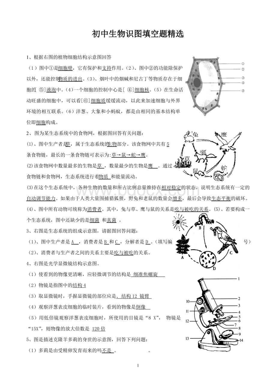 初中生物识图填空题精选.doc