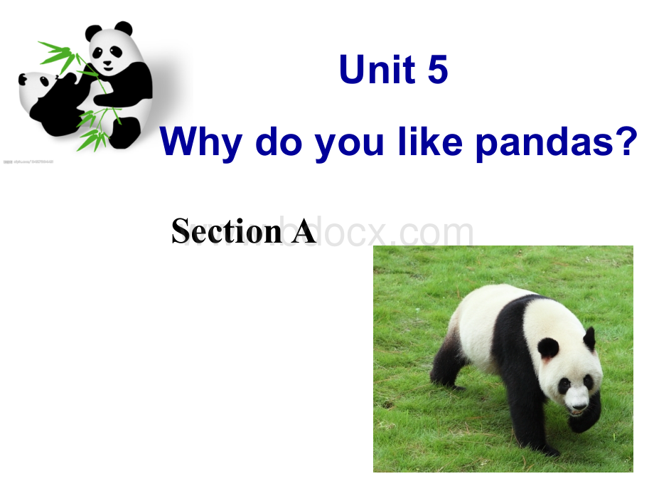 人教版新目标英语新教材七年级下册unit5-why-do-you-like-pandas-课件PPT格式课件下载.ppt