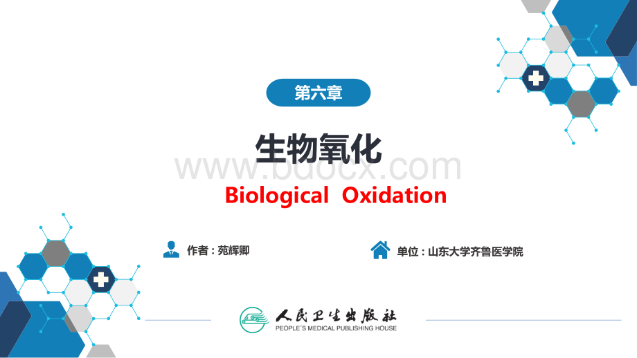 生物化学及分子生物学(人卫第九版)-06-01节生物氧化PPT资料.pptx_第1页