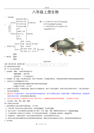 八年级生物上册知识点总结(全面).doc