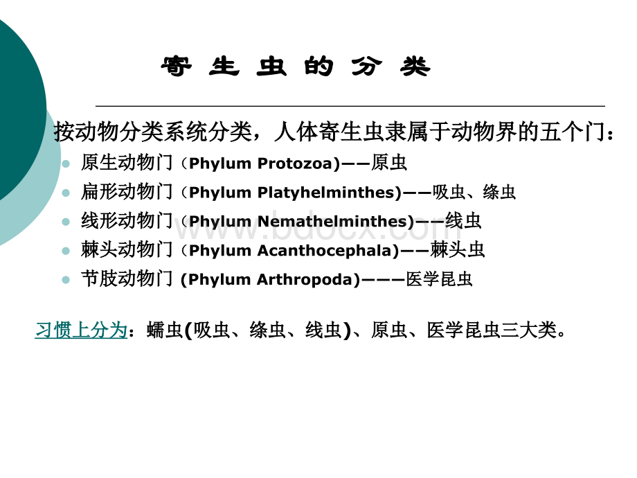 寄生虫之线虫1.ppt_第2页