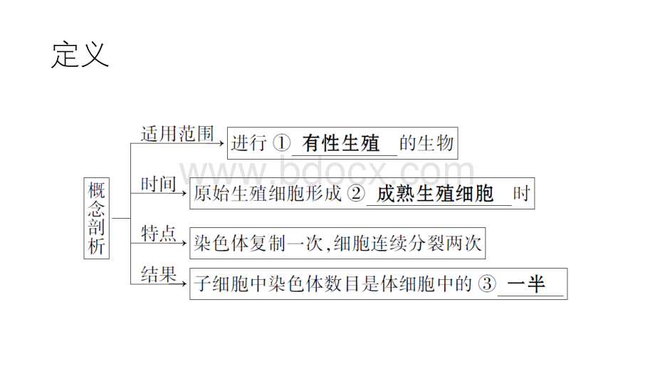 减数分裂过程及习题PPT资料.pptx_第3页