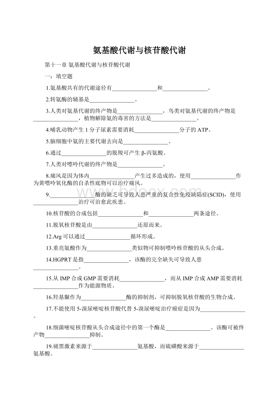 氨基酸代谢与核苷酸代谢.docx