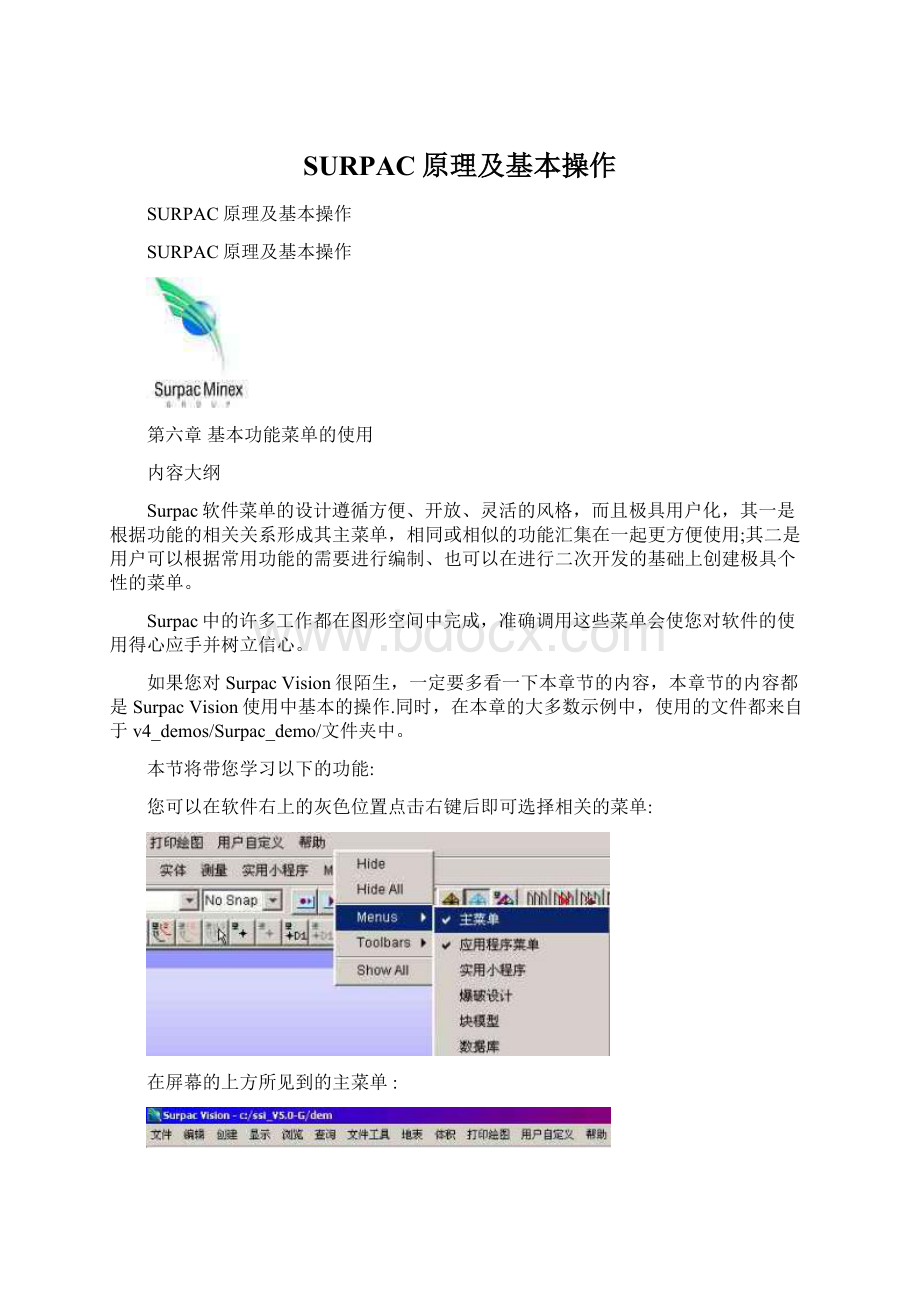 SURPAC原理及基本操作Word格式.docx_第1页