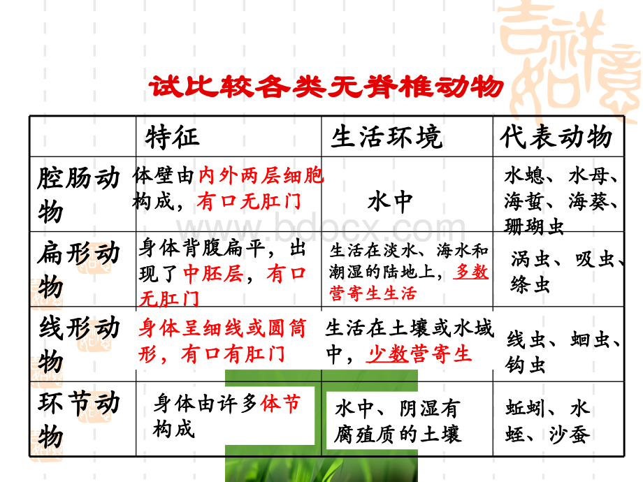 软体、节肢动物.ppt_第2页