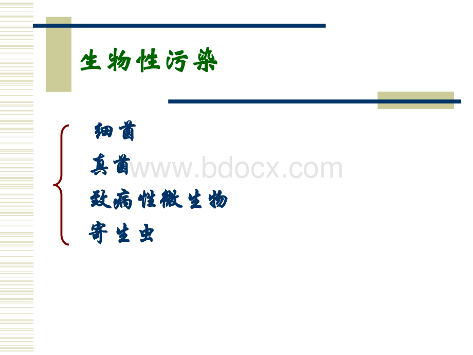 生物性污染PPT格式课件下载.ppt_第3页