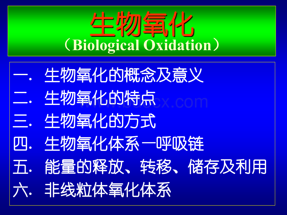 复旦大学生化课件生物氧化2.ppt_第2页