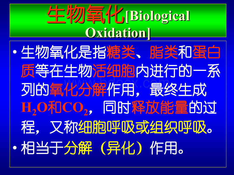 复旦大学生化课件生物氧化2.ppt_第3页