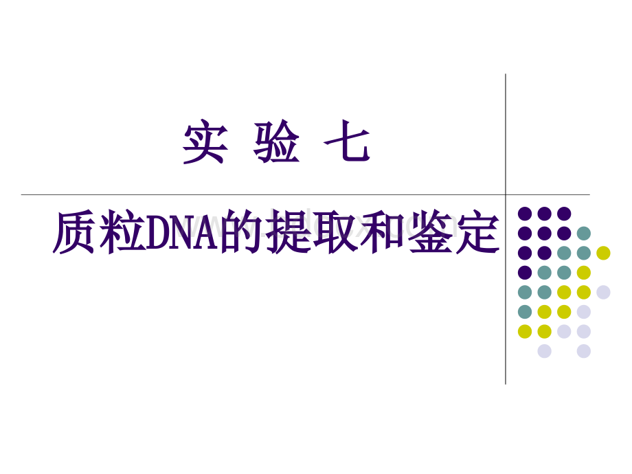 实验七质粒DNA的提取和鉴定.ppt