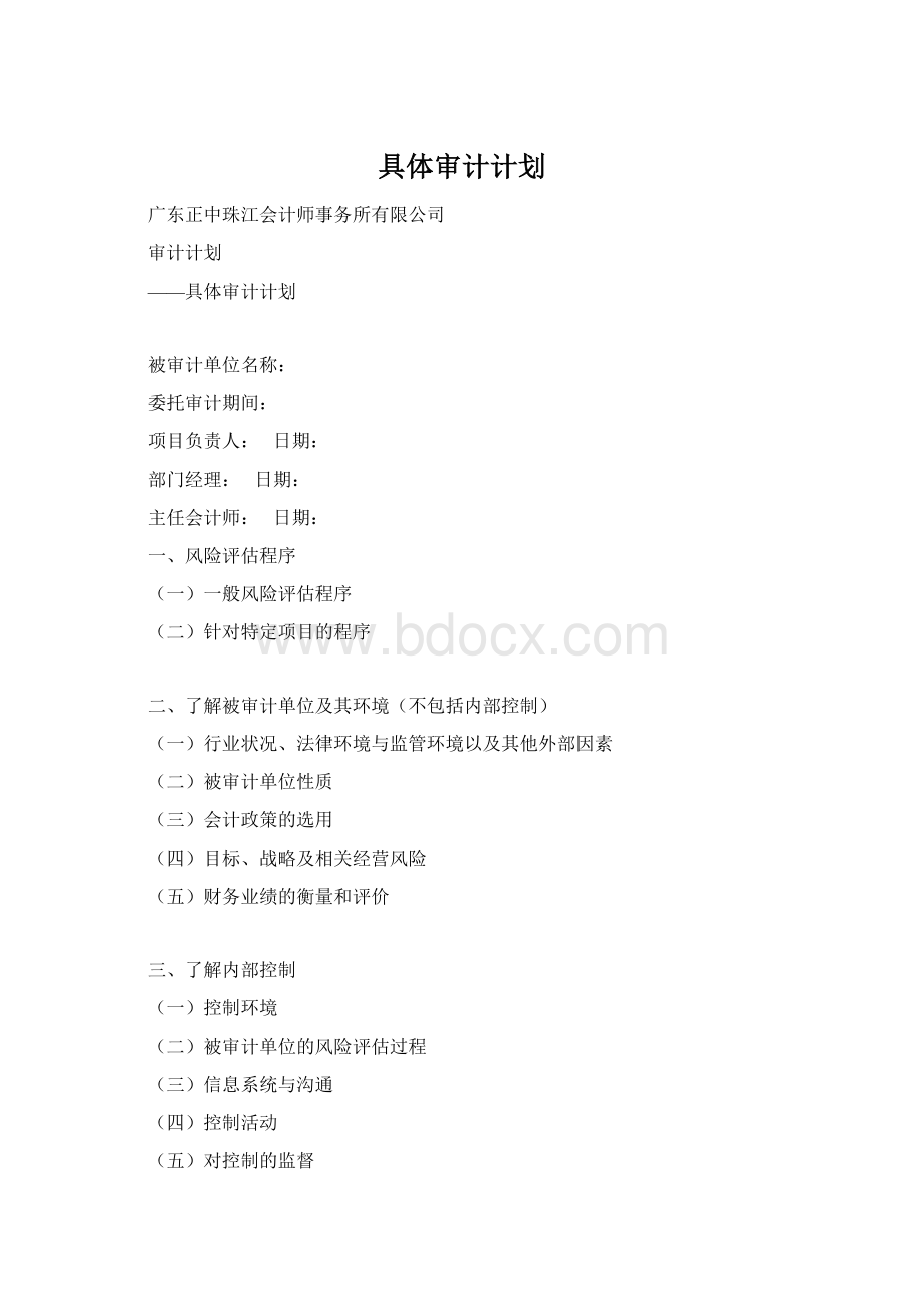 具体审计计划.docx_第1页