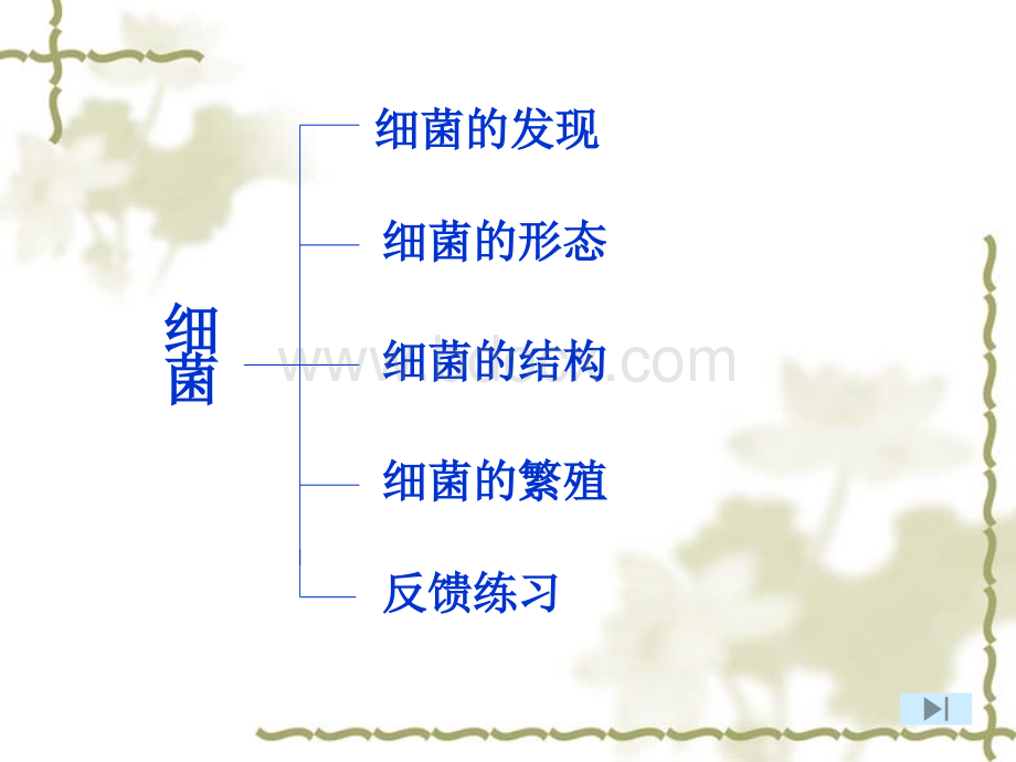 八年级生物-第二节细菌课件-新课标-人教版PPT格式课件下载.ppt_第2页