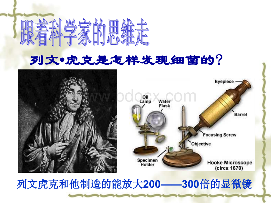 八年级生物-第二节细菌课件-新课标-人教版PPT格式课件下载.ppt_第3页