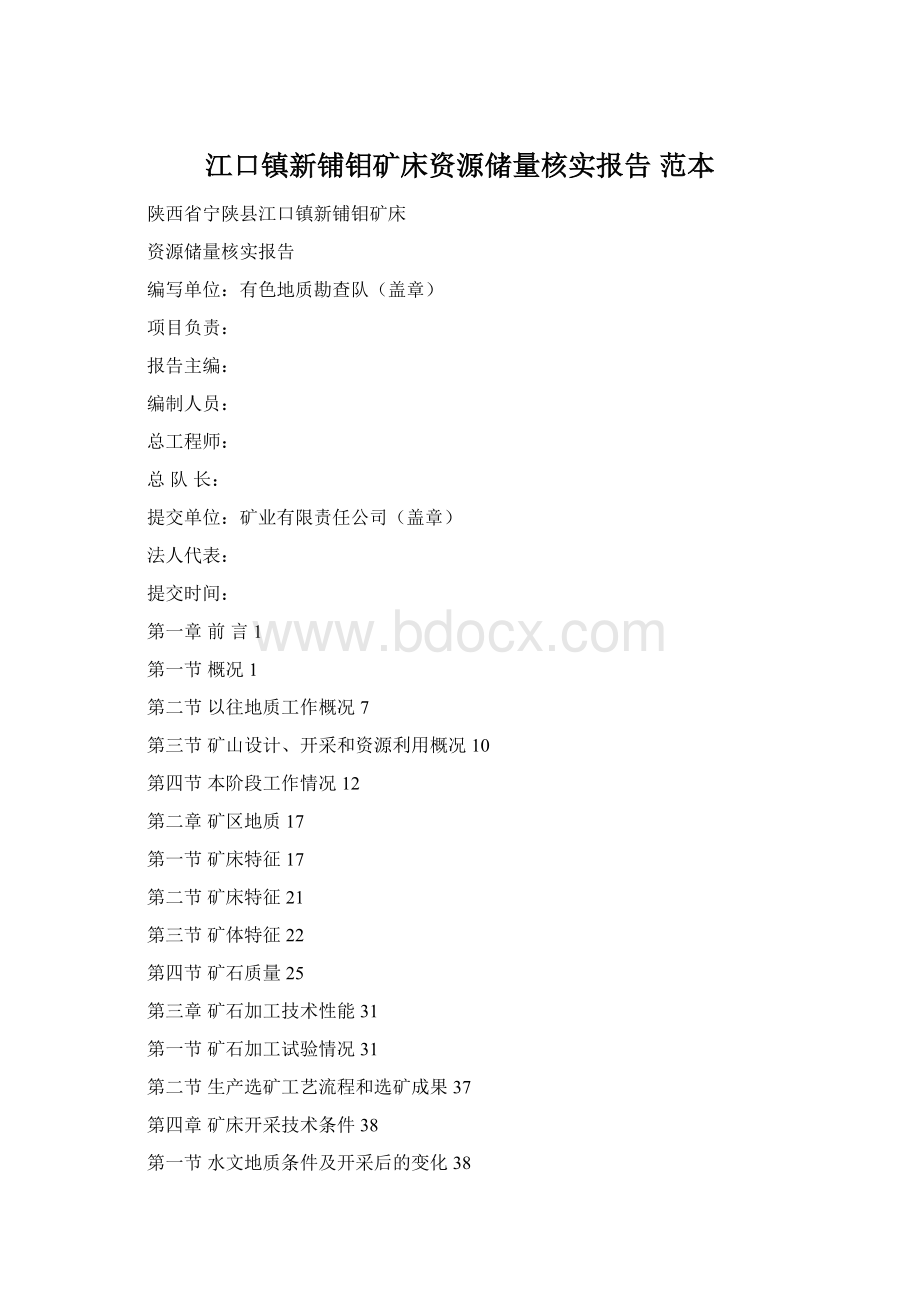 江口镇新铺钼矿床资源储量核实报告范本.docx_第1页