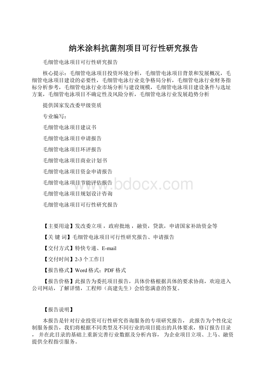 纳米涂料抗菌剂项目可行性研究报告Word格式文档下载.docx_第1页