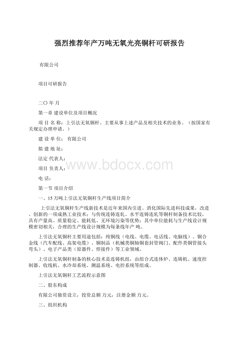 强烈推荐年产万吨无氧光亮铜杆可研报告.docx_第1页