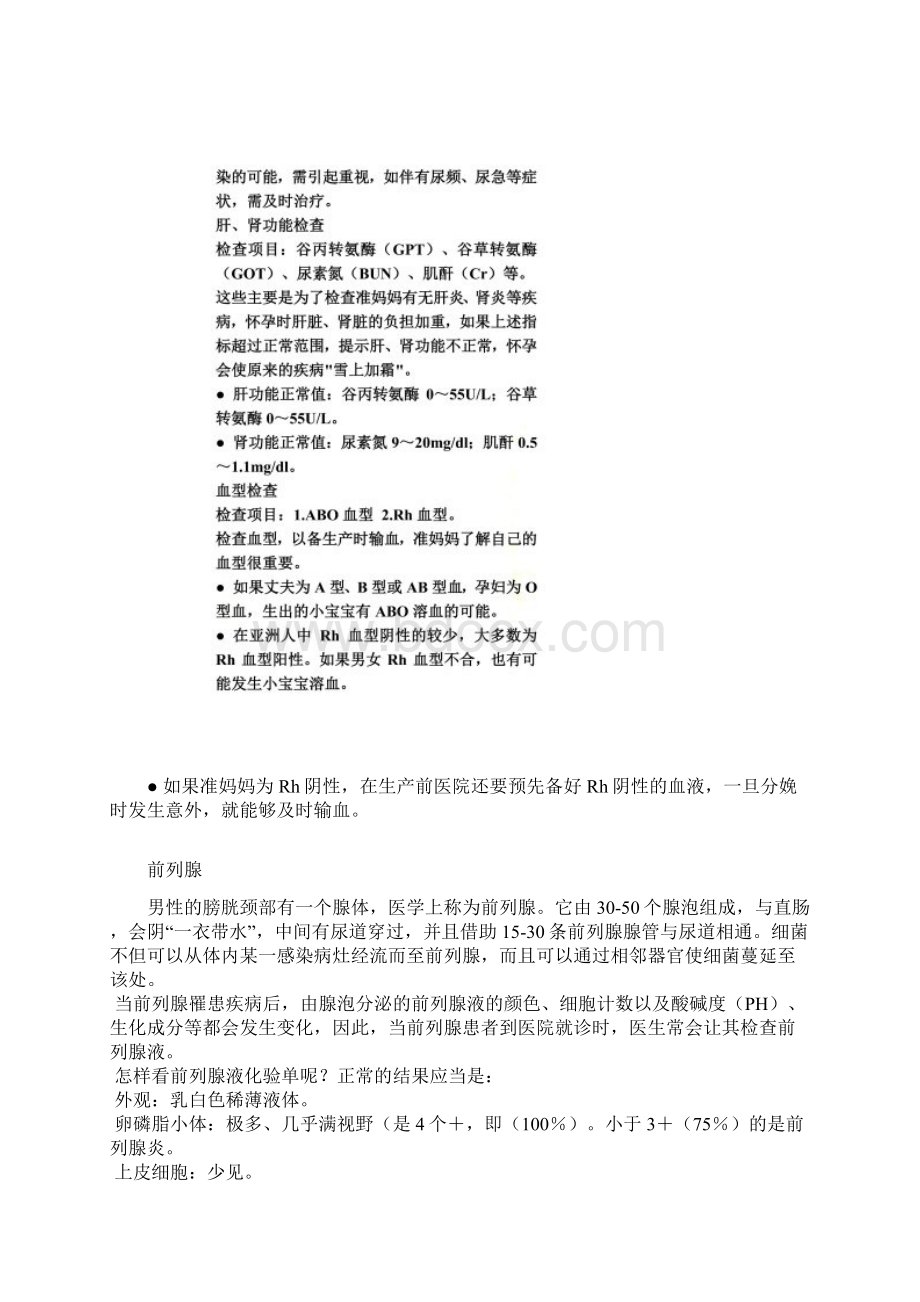 化验单结果解读.docx_第2页