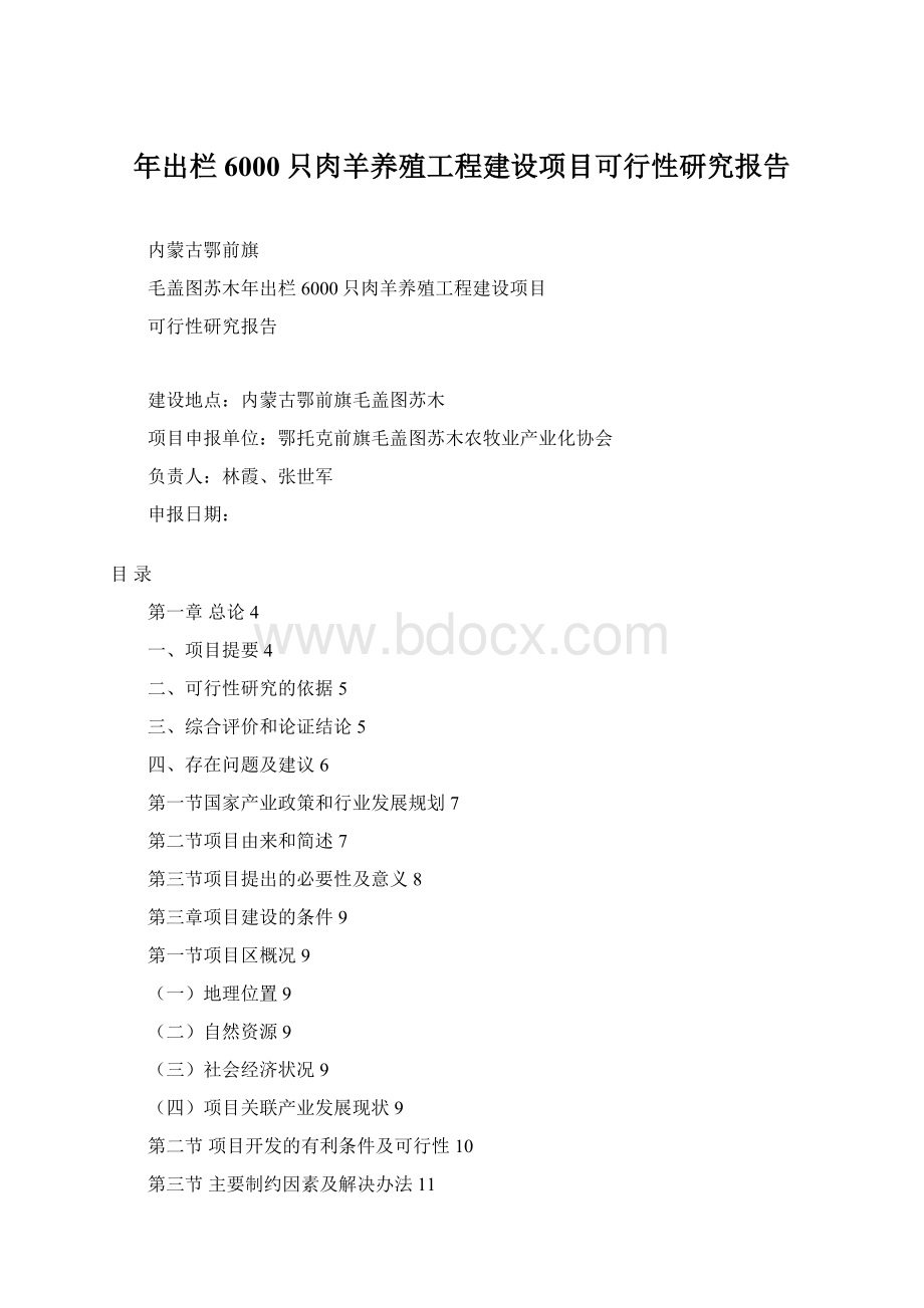 年出栏6000只肉羊养殖工程建设项目可行性研究报告.docx_第1页