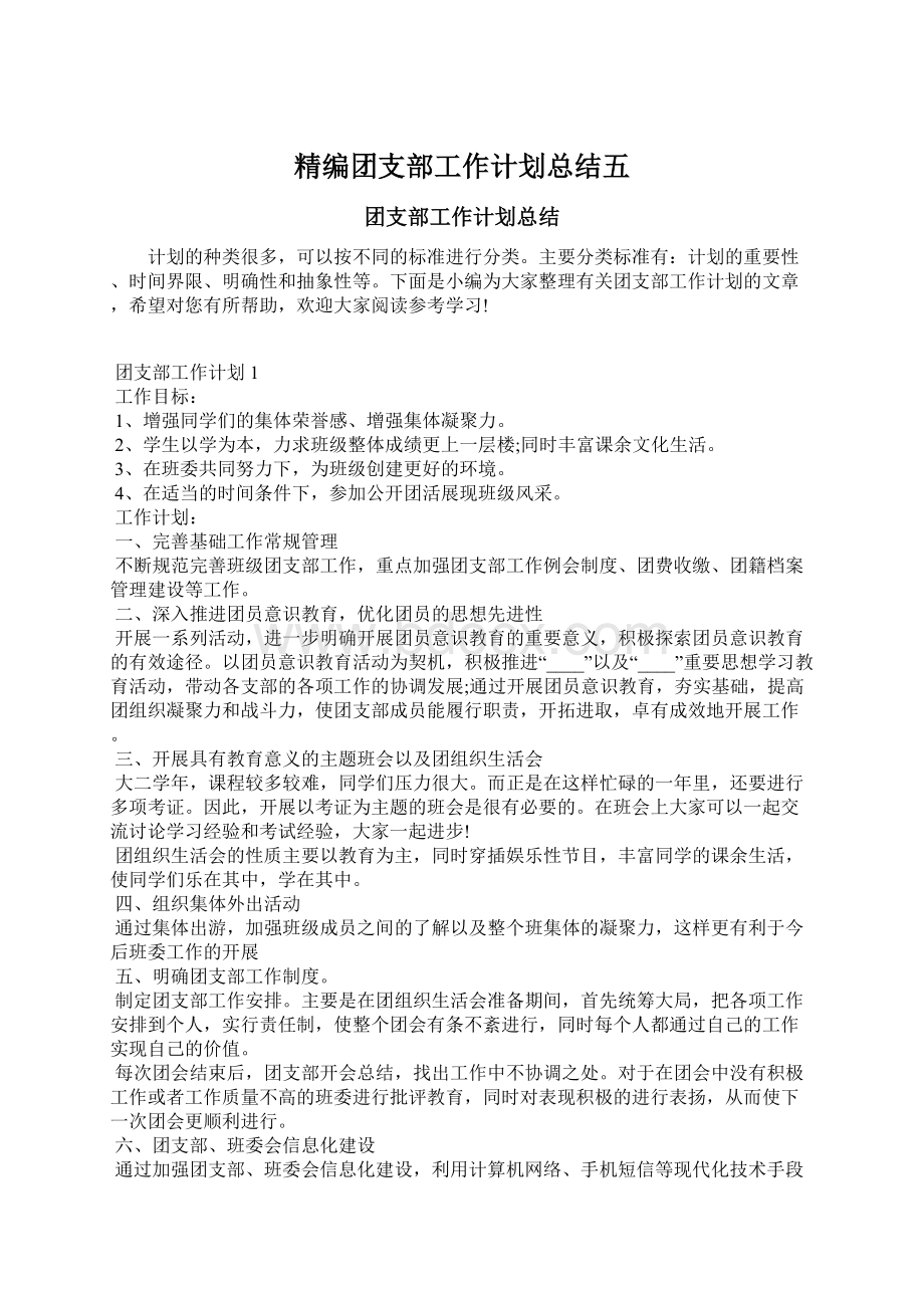 精编团支部工作计划总结五.docx