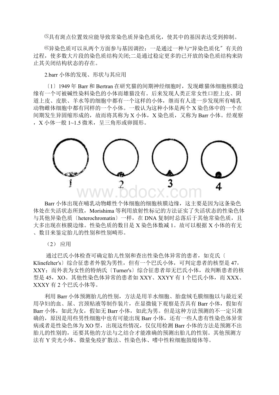 实验六barr小体地观察.docx_第2页