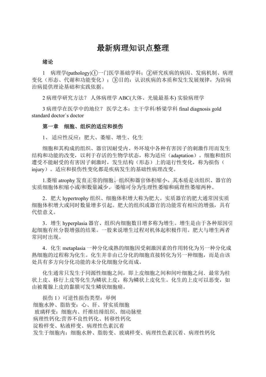 最新病理知识点整理Word格式文档下载.docx_第1页