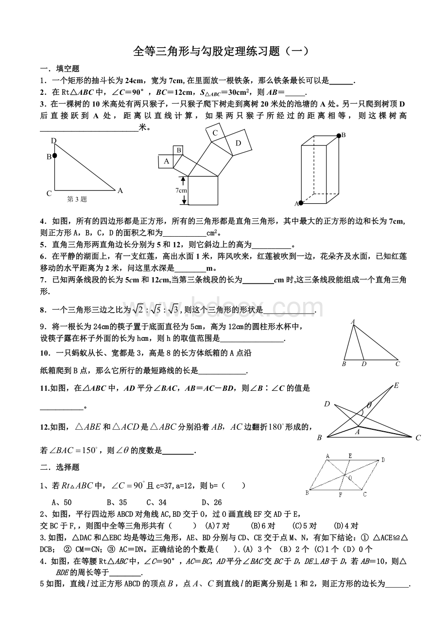 全等三角形与勾股定理练习题(一)Word文件下载.doc