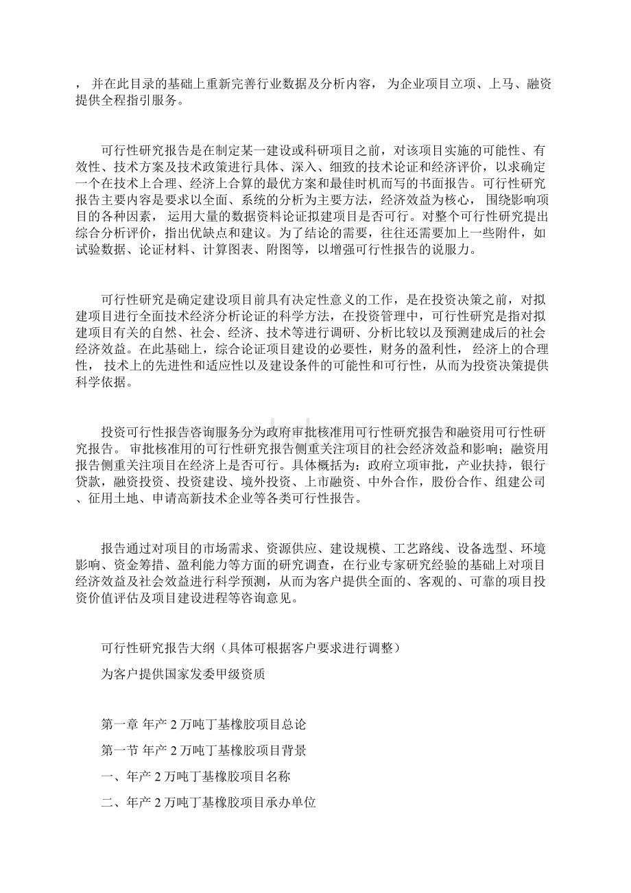 年产2万吨丁基橡胶项目可行性研究报告Word格式文档下载.docx_第2页