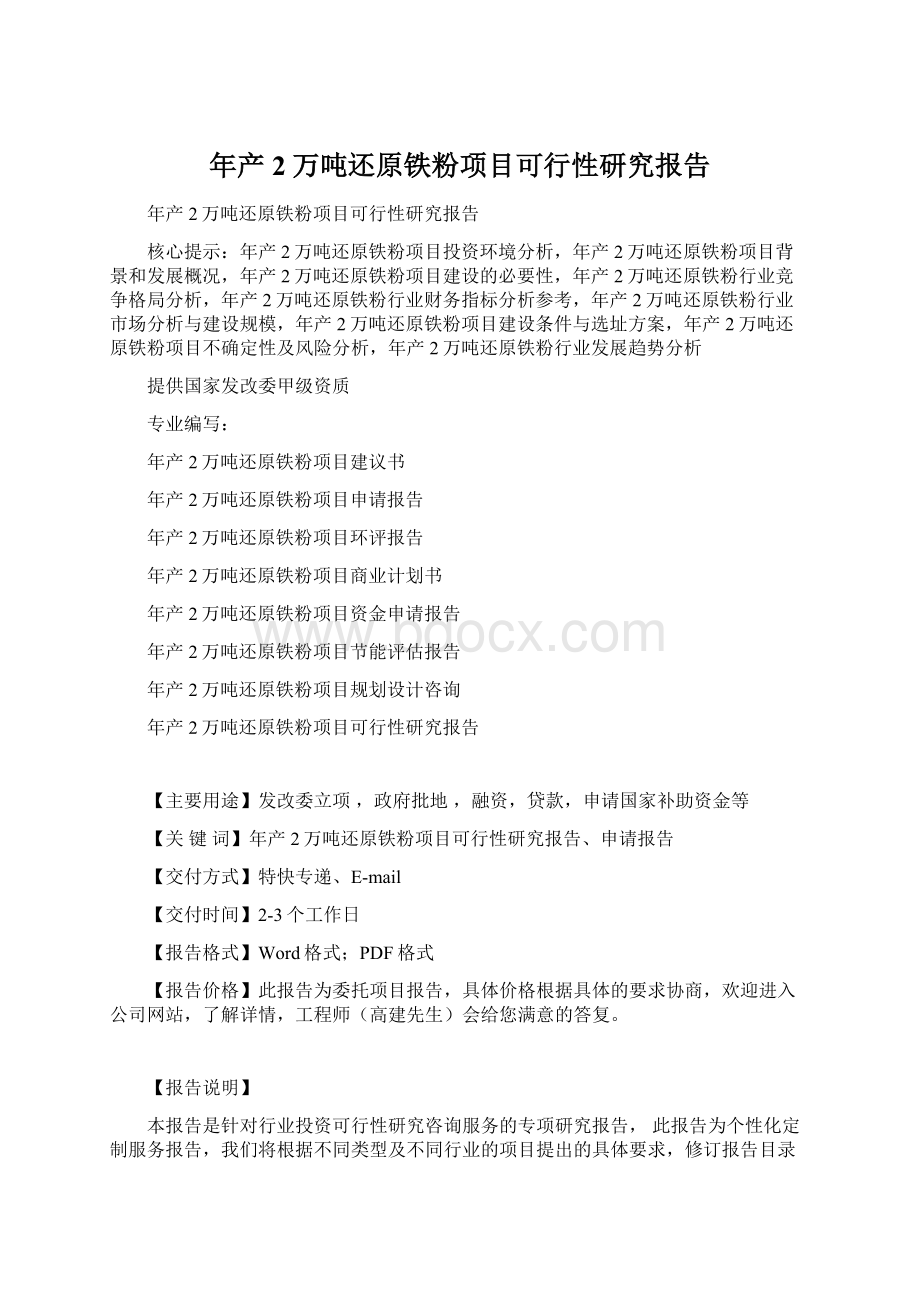 年产2万吨还原铁粉项目可行性研究报告Word文档下载推荐.docx