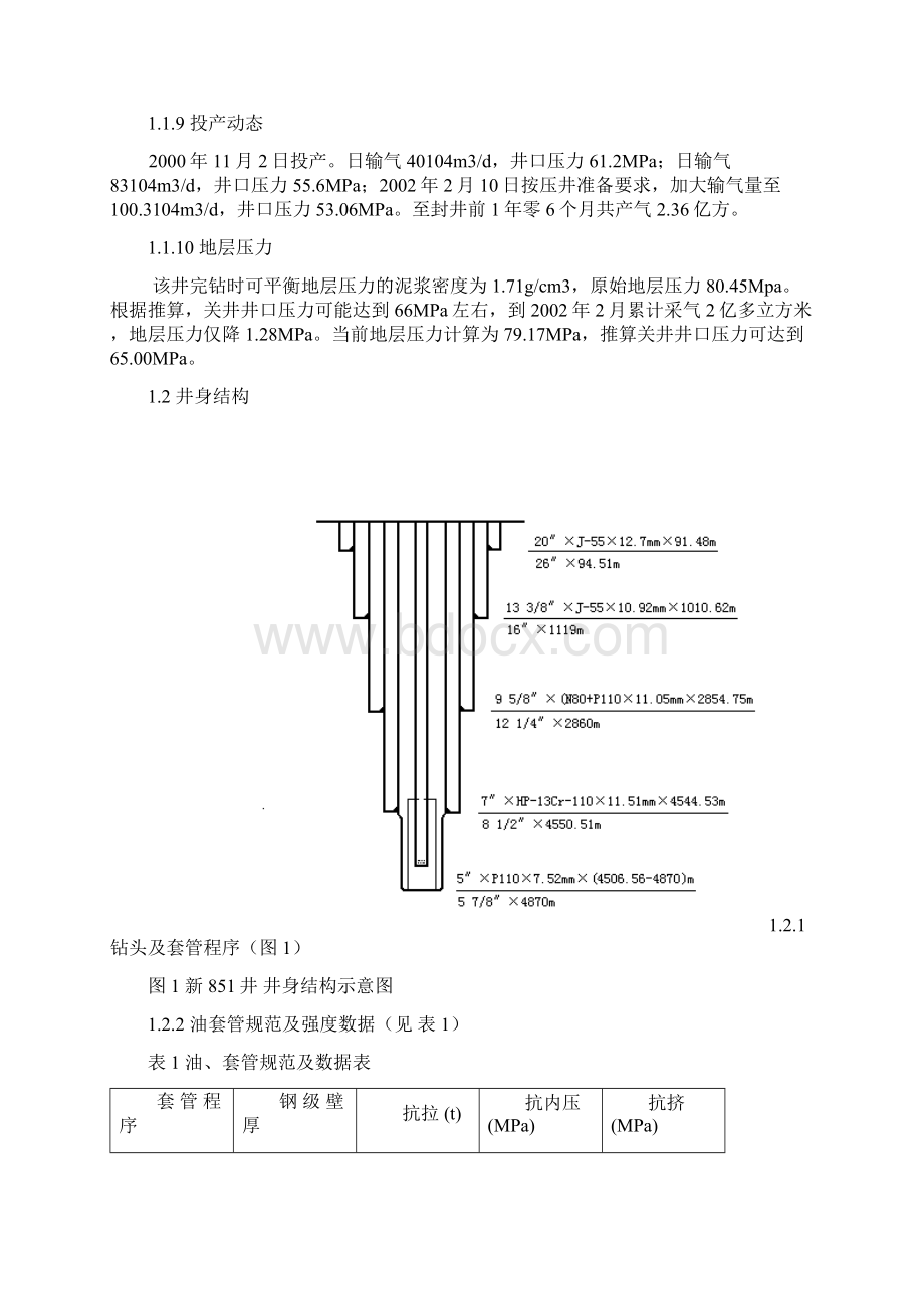 新851井抢险压井封井施工总结.docx_第2页