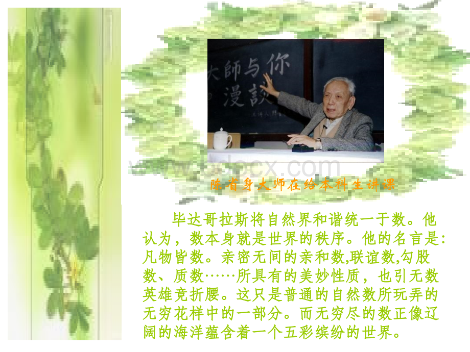 神奇的数学.ppt_第3页