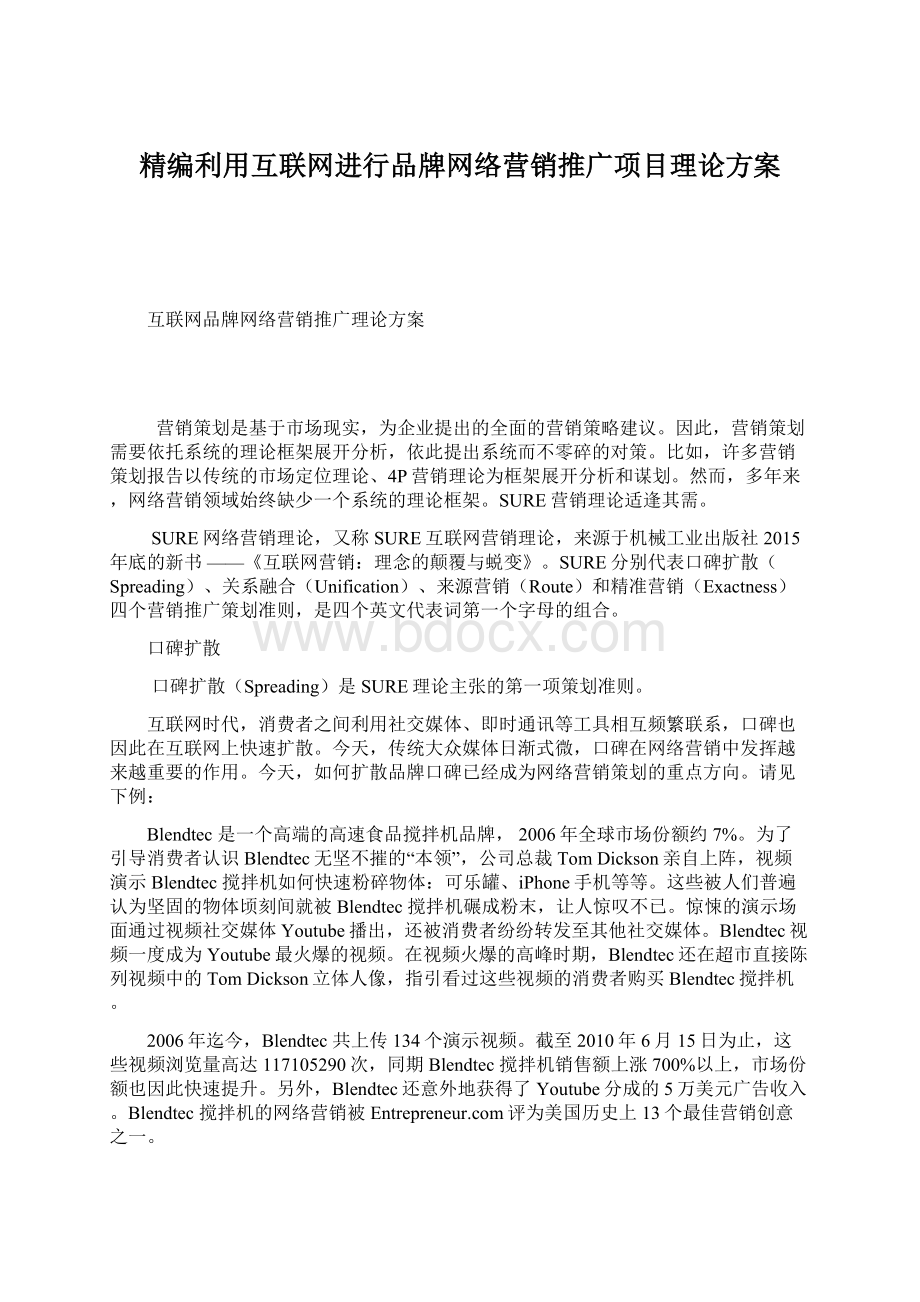 精编利用互联网进行品牌网络营销推广项目理论方案.docx_第1页