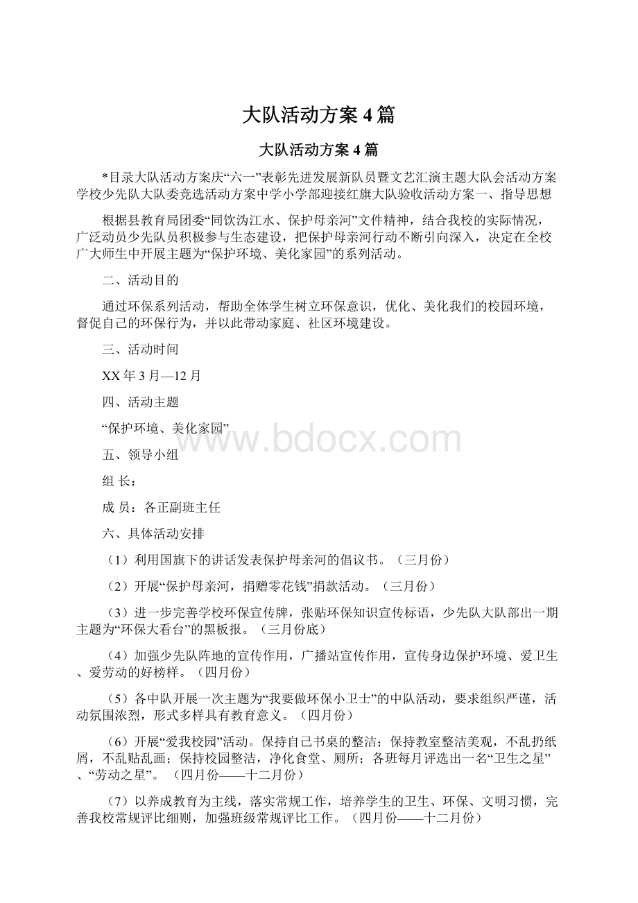 大队活动方案4篇Word文档下载推荐.docx