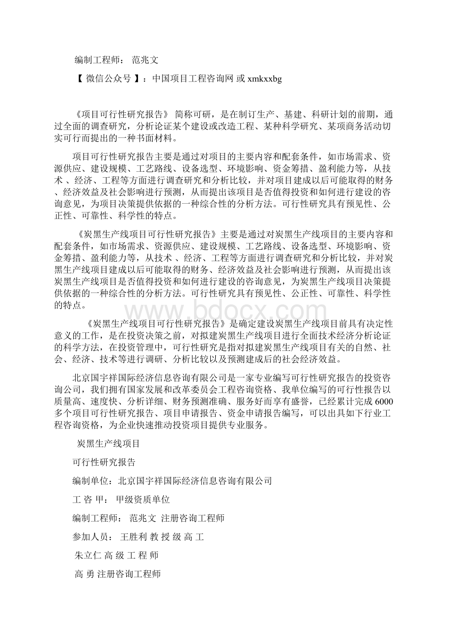 炭黑生产线项目可行性研究报告模板案例.docx_第2页