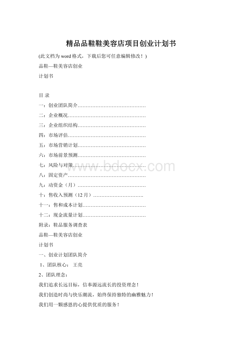 精品品鞋鞋美容店项目创业计划书Word下载.docx
