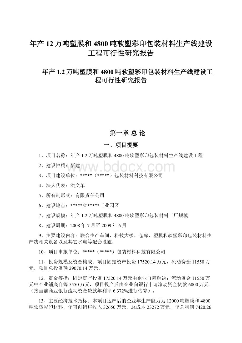 年产12万吨塑膜和4800吨软塑彩印包装材料生产线建设工程可行性研究报告文档格式.docx