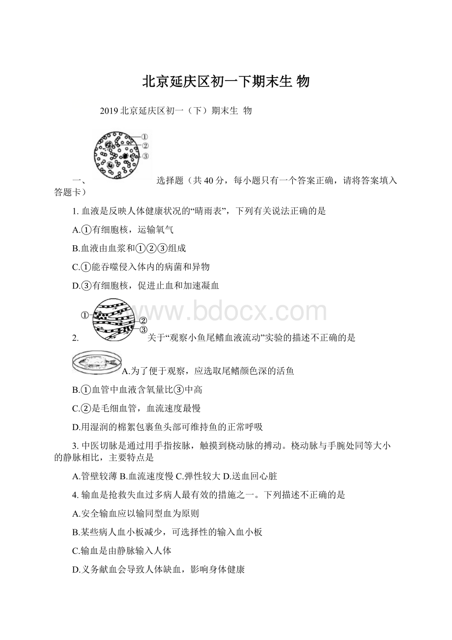 北京延庆区初一下期末生物Word下载.docx_第1页