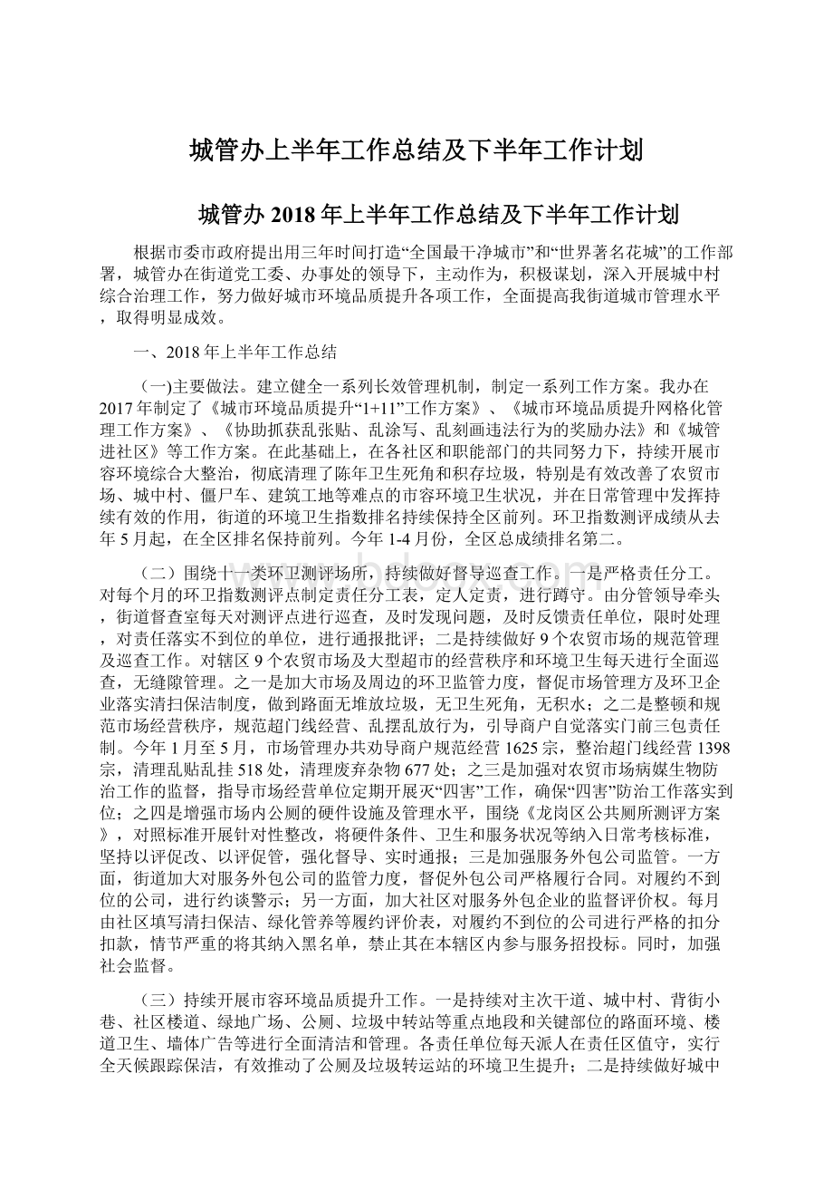 城管办上半年工作总结及下半年工作计划.docx