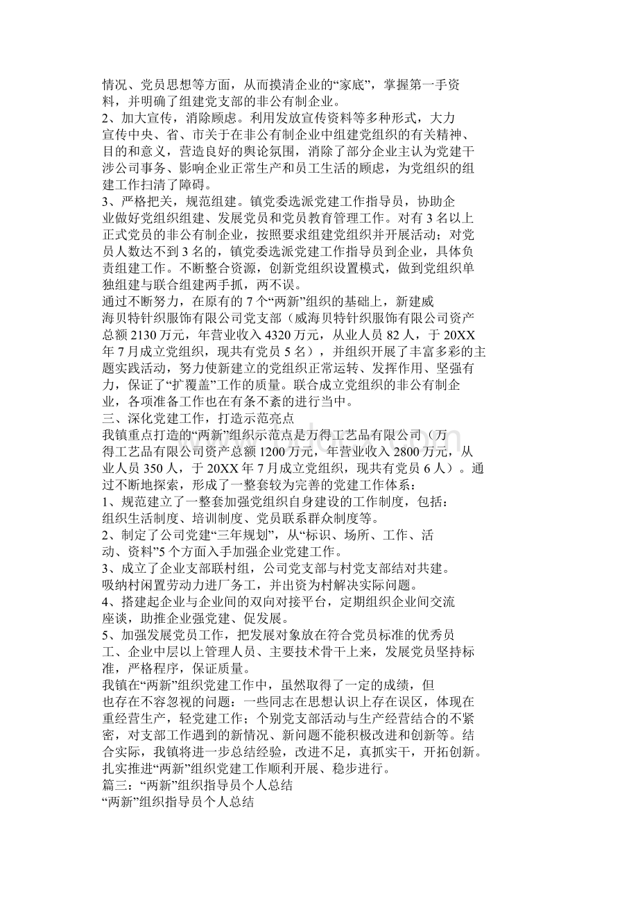 乡镇两新组织专项组工作总结Word格式.docx_第3页