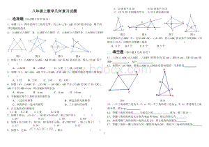 八年级上数学几何复习试题文档格式.doc