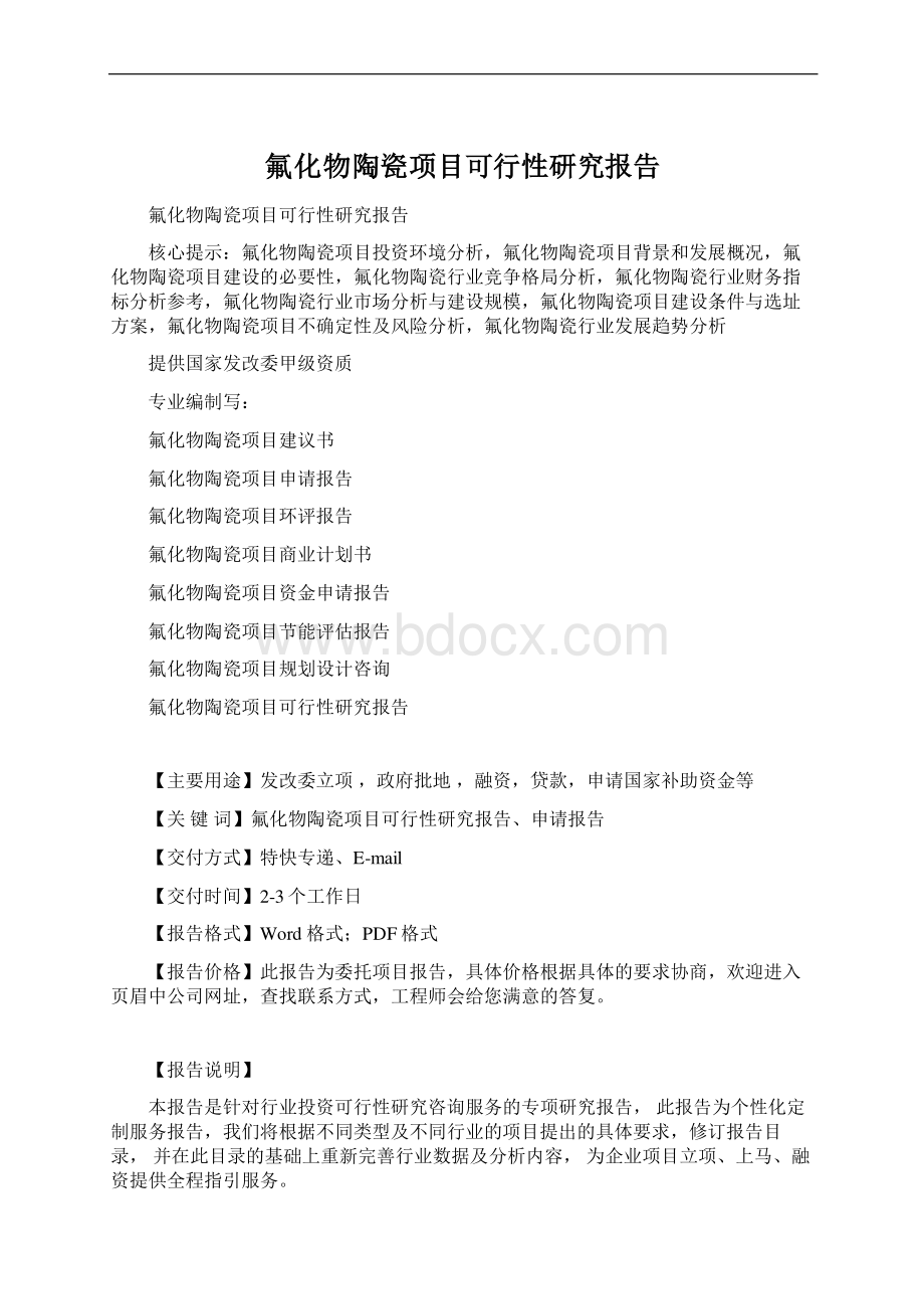 氟化物陶瓷项目可行性研究报告文档格式.docx