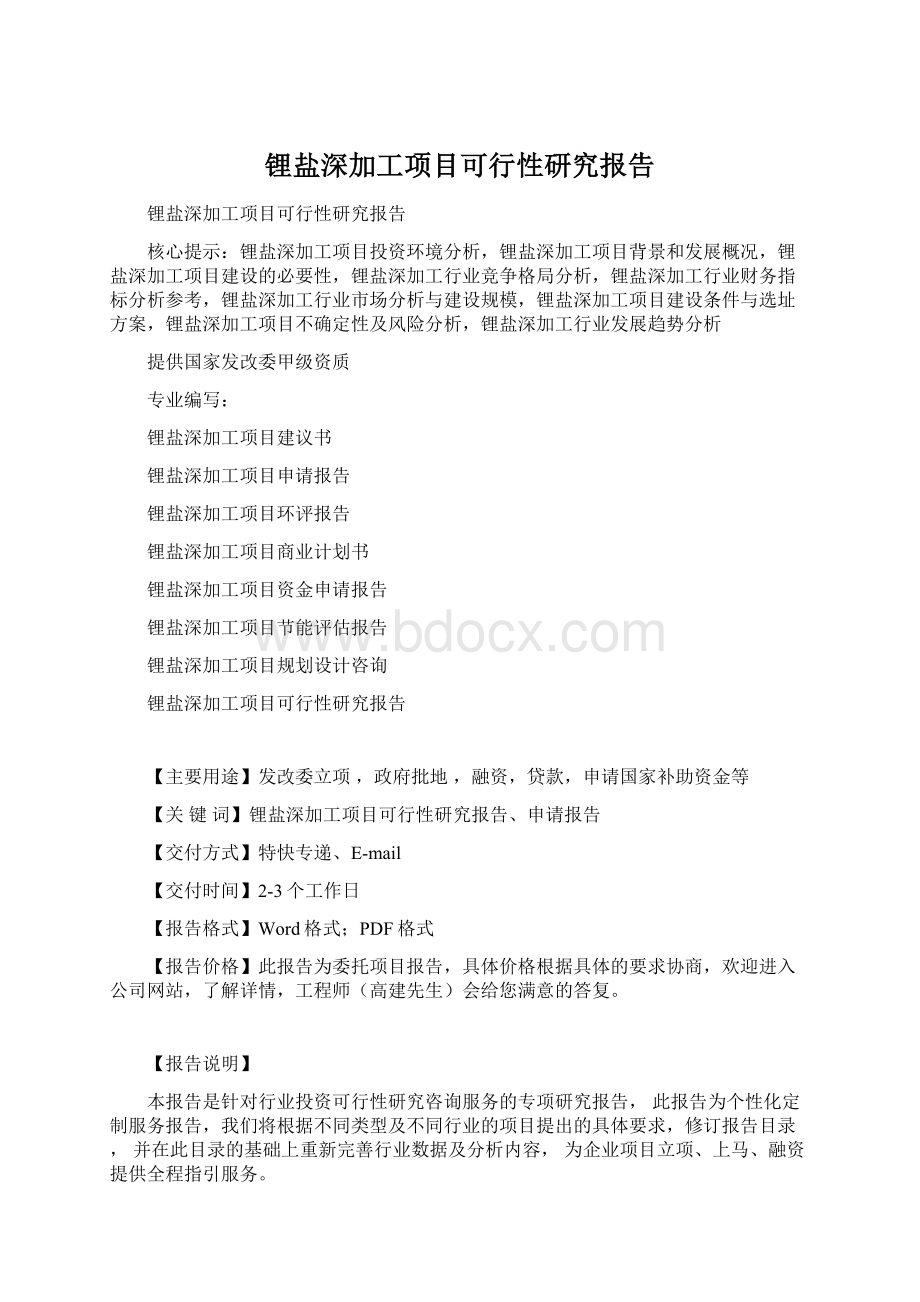 锂盐深加工项目可行性研究报告Word格式.docx